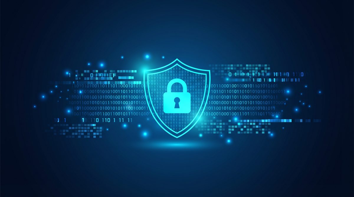 番石加速器隐私安全保护